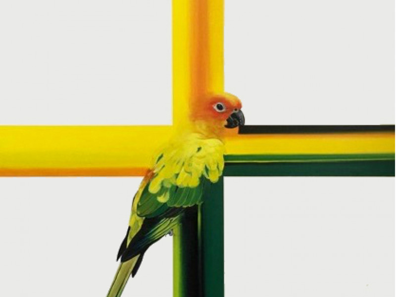 ZONAMACO - Fair Art
