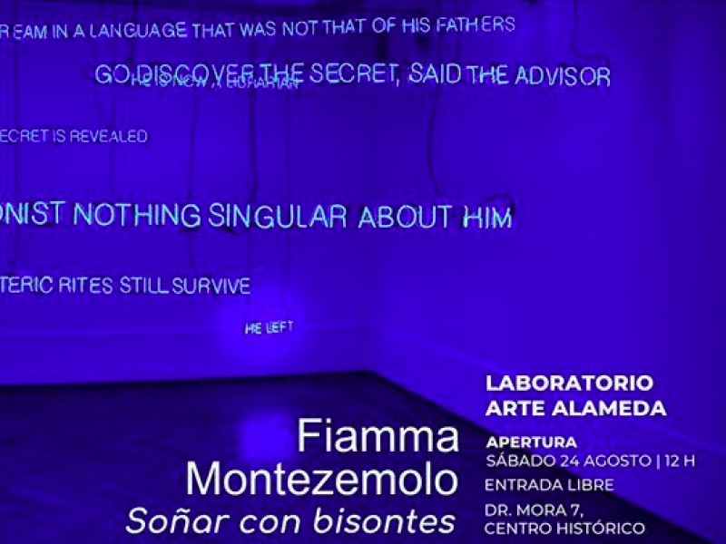 ZONAMACO - Fair Art