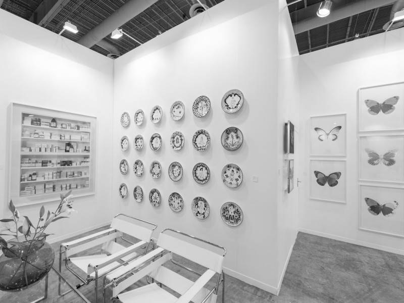ZONAMACO Fair Art - Circuit