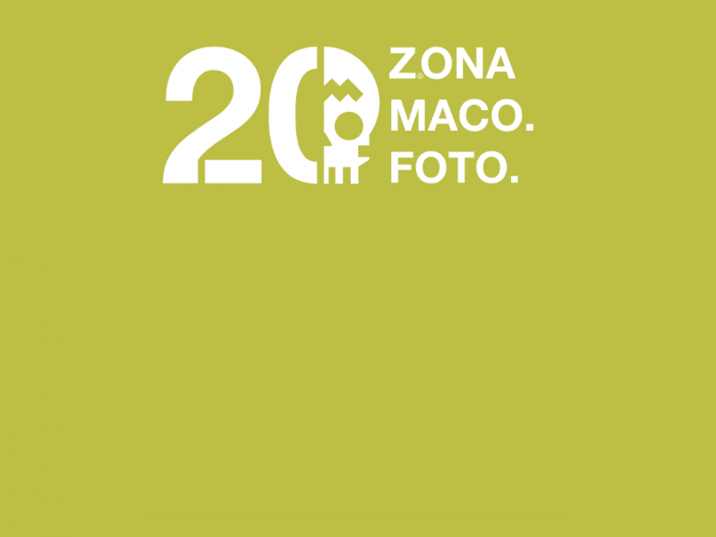 ZONAMACO Fair Art - Circuit